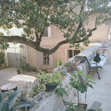 D'hotes L'atrium * Orange (Vaucluse)